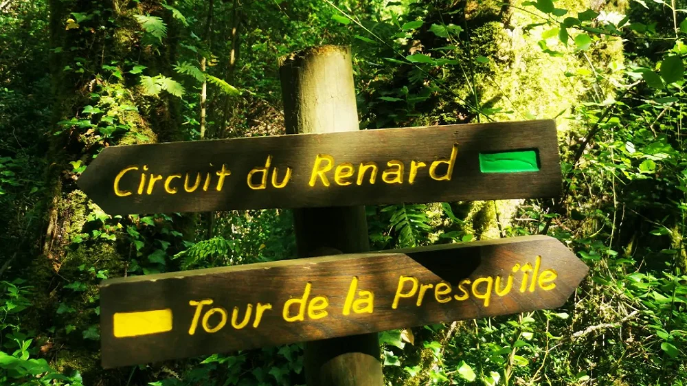 Panneau du circuit du Renard au Bois de Païolive – Grotte du Renard Panneau du circuit du Renard avec indication de la grotte du Renard dans le Bois de Païolive, Ardèche, randonnée et balade facile