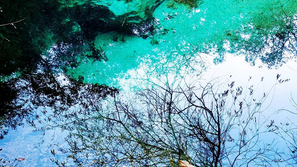 Résurgence de Font Vive à Grospierres avec ses eaux turquoise et reflets végétaux