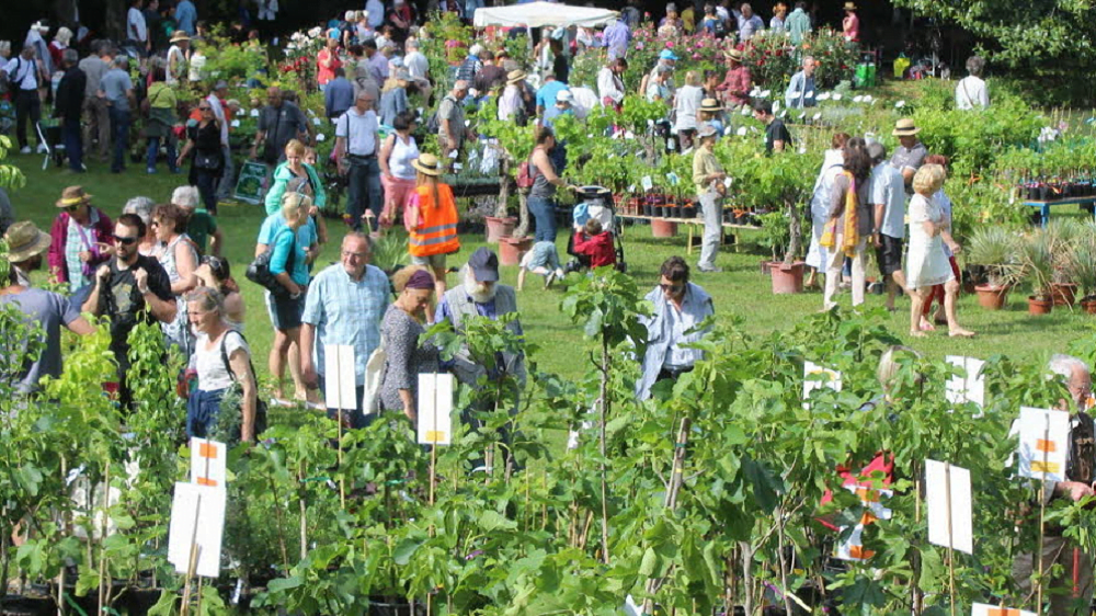 Marché aux fleurs au château de Bournet, un rendez-vous coloré à Grospierresfleurs en fête Marché aux fleurs au château de Bournet à Grospierres en Ardèche