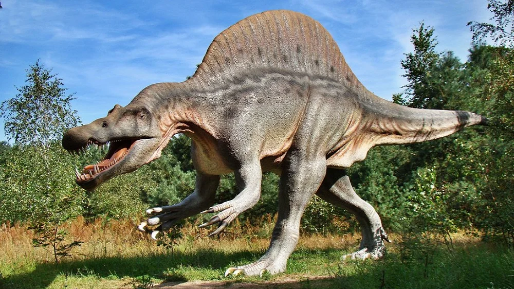 Aven Marzal zoo préhistorique