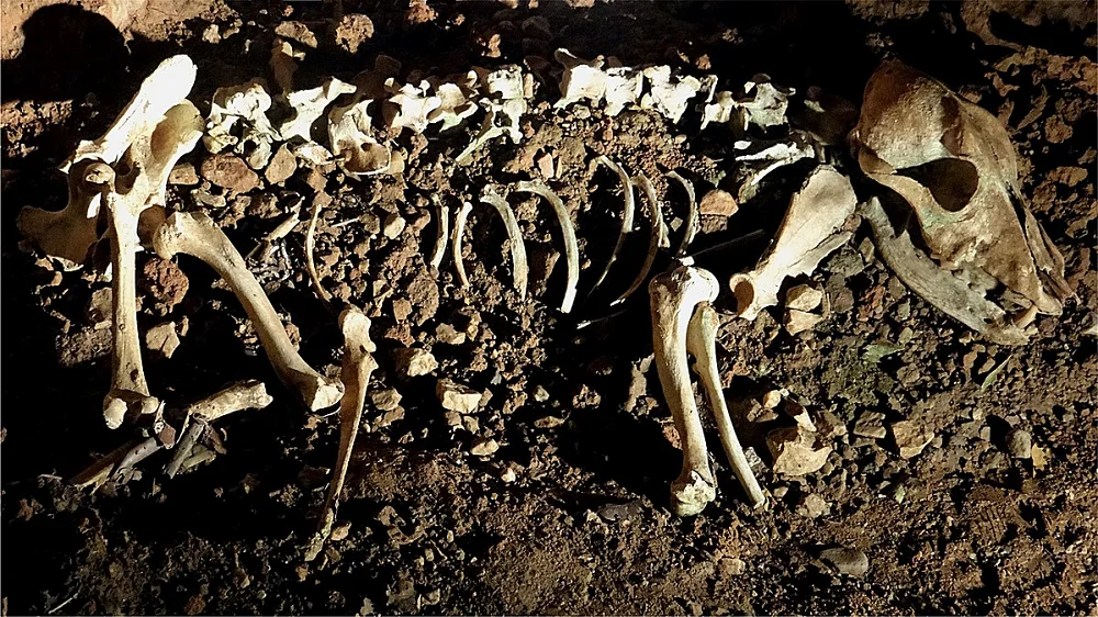 grotte aven marzal