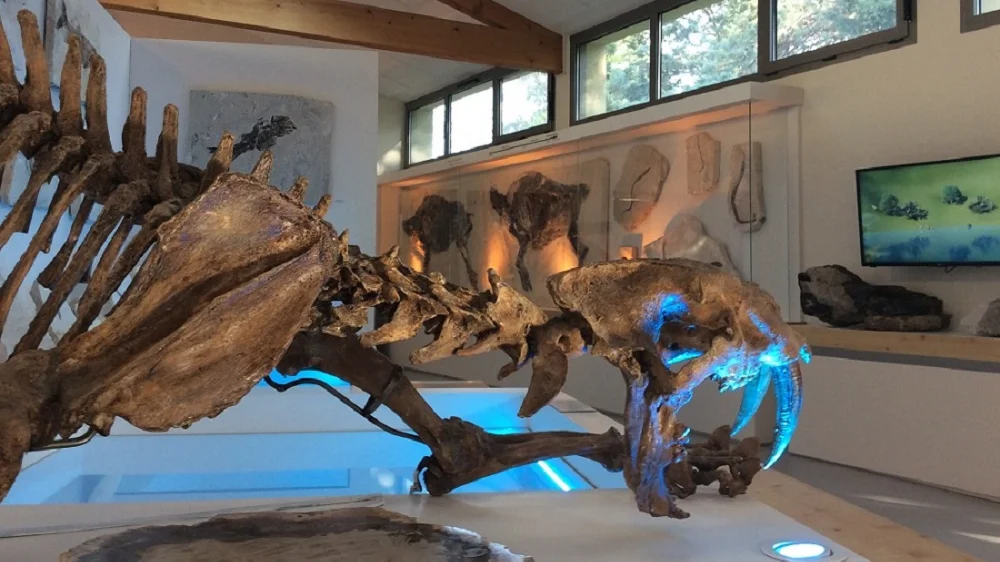museum de l’ardèche museum de l'ardèche