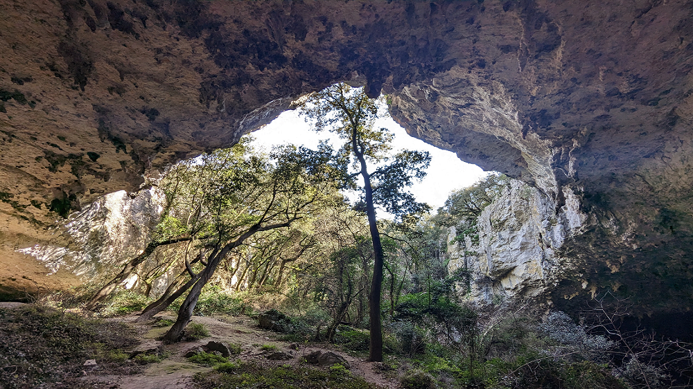la baume de ronze la baume de ronze