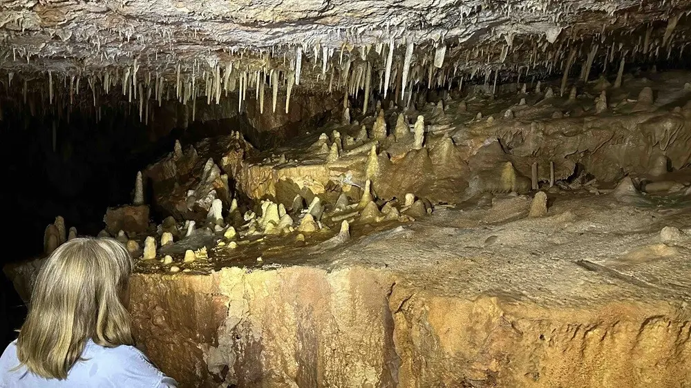 Grotte Aven Forestiere veritables couleurs