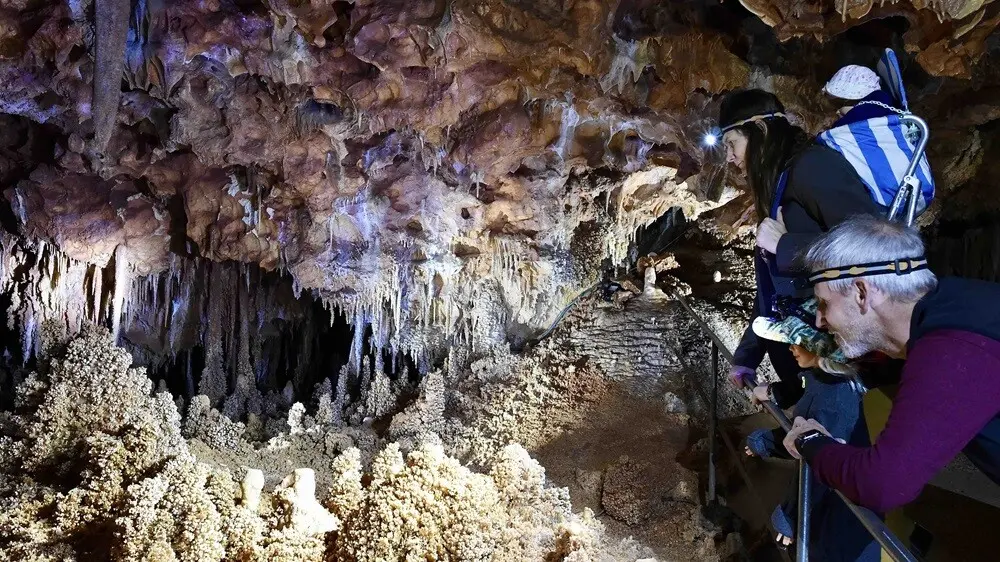 Aven Forestière 18 Grotte Aven forestière