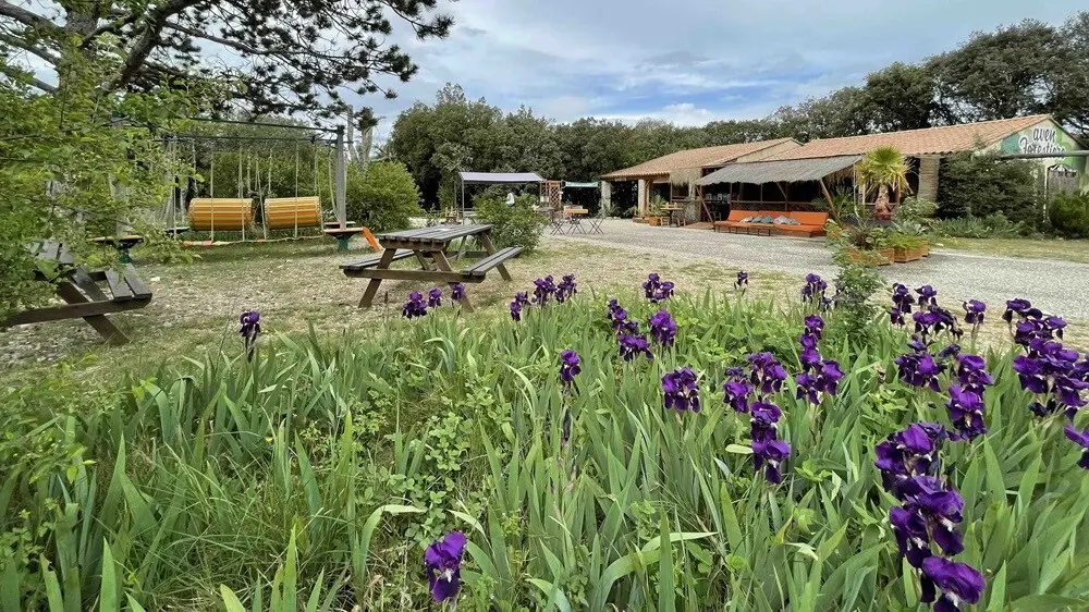 Grotte aven forestiere espace de jeux dans la foret