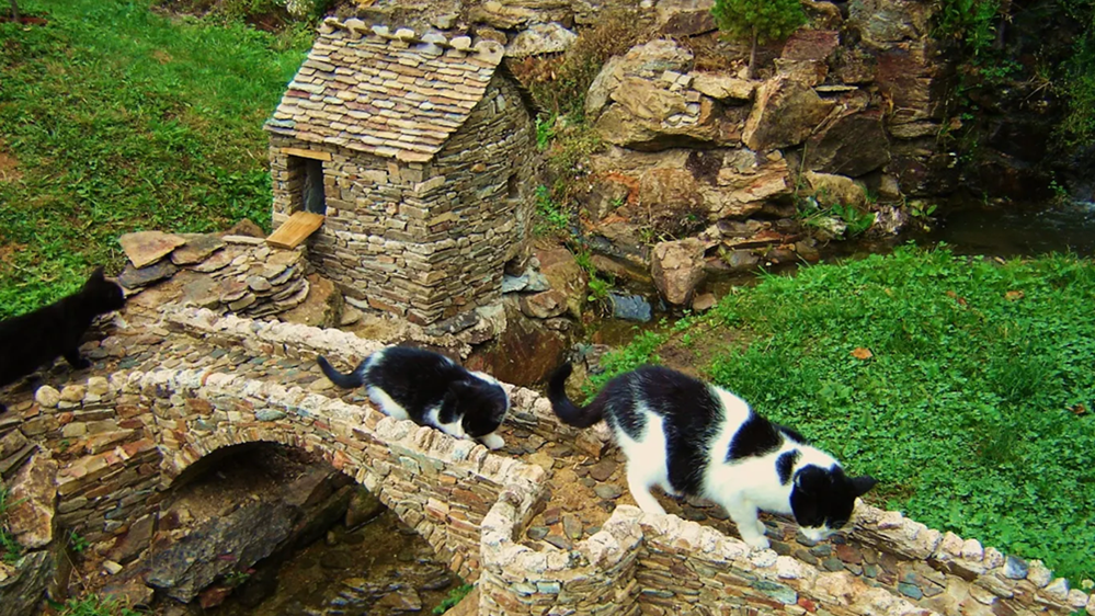 Chats sur un pont miniature Deux chats de taille réelle marchant sur un pont en pierre miniature, avec une petite maison et un cours d'eau.