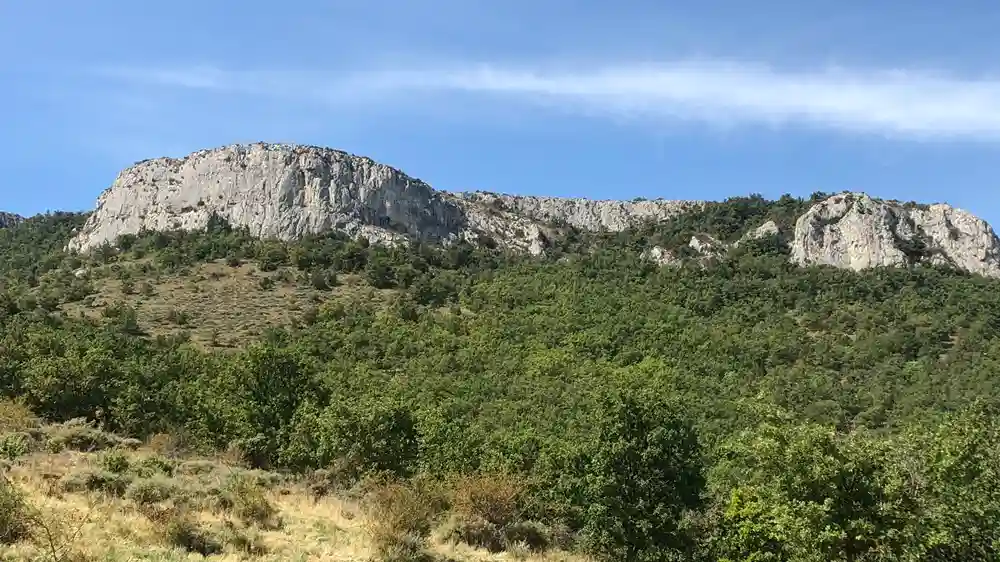 dent-de-rez-sommet-ardeche-sud Vue panoramique d'une imposante mesa calcaire (plateau rocheux) au sommet d'une colline couverte d'une forêt dense de chênes et de garrigue en Ardèche méridionale, sous un ciel bleu clair.