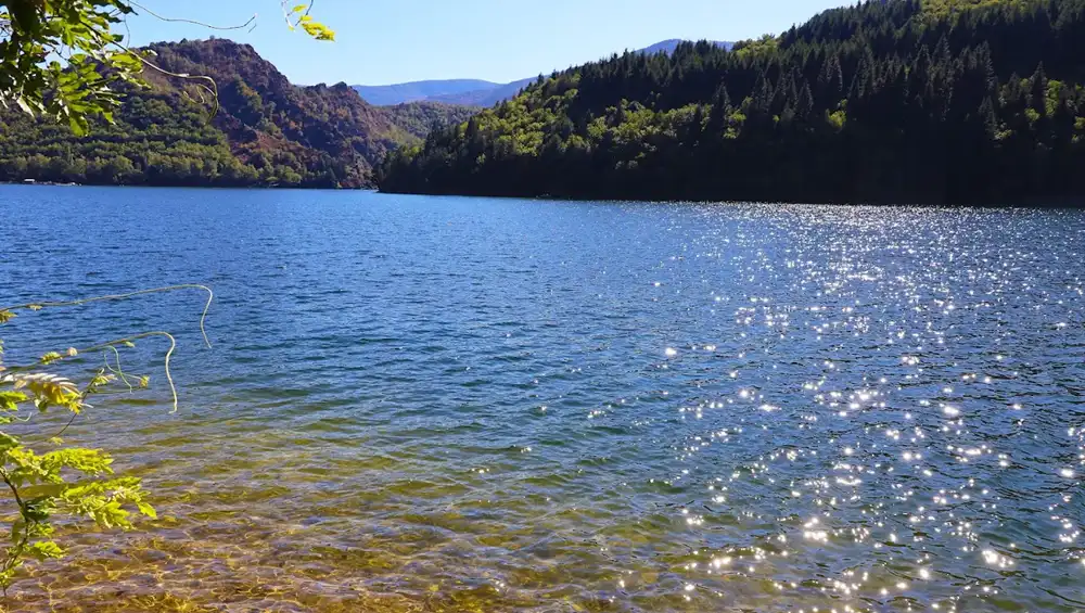 baignade-lac-villefort-eau-claire Vue sur l'eau claire et scintillante du lac de Villefort, bordé par les forêts des Cévennes.
